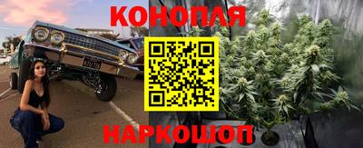 Альфа ПВП Лесосибирск