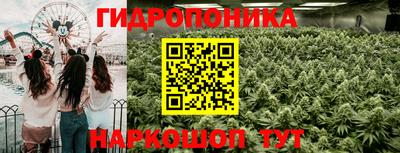 Альфа ПВП Лесосибирск
