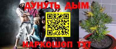 молекула духа Ливны
