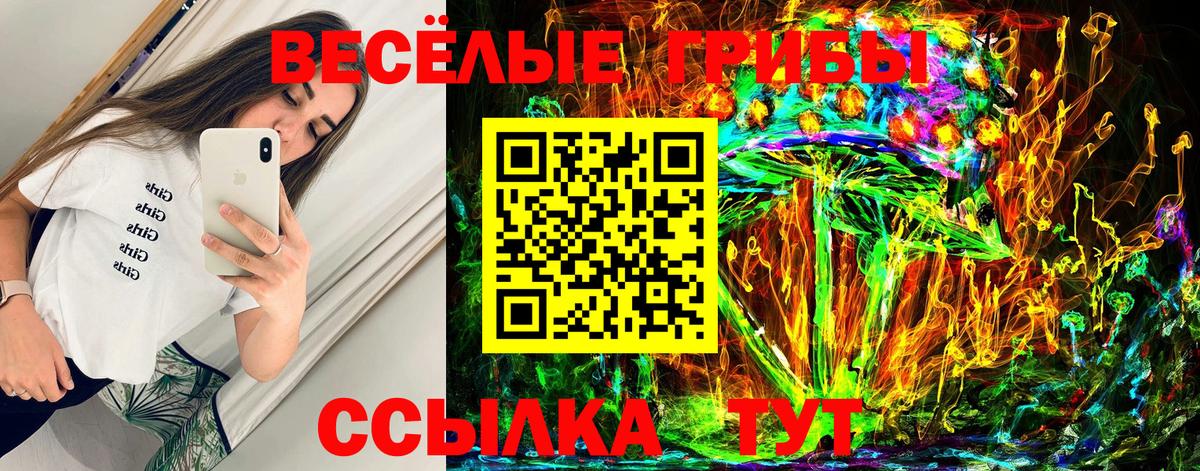 Горно-Алтайск  купить  сайты  Вход с VPN  Галлюциногенные грибы GOLDEN TEACHER 